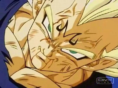 Dragonball Z Vegeta vs Goku xxx