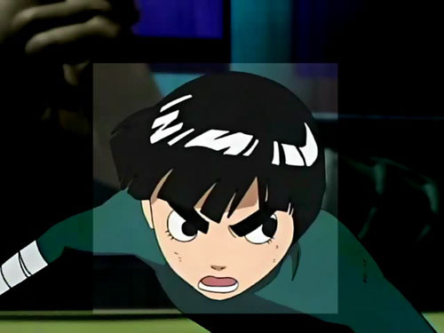 Ganseki No Kobushi (A Rock Lee Profile)