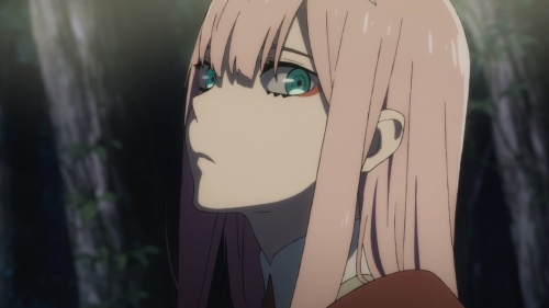 Darling in the FranXX AMV , Last AMV #Code 002