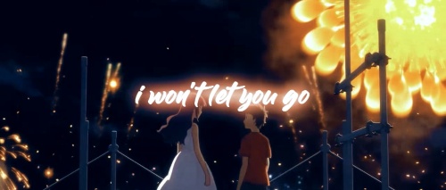 Wont Let You Go