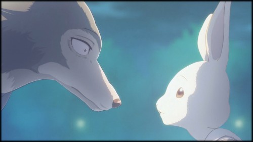 Beastars [AMV]: Beloved or prey?