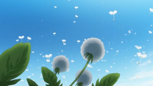 Dandelions of Life