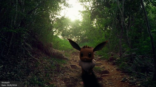 Human GO - Pokemon In Real Life