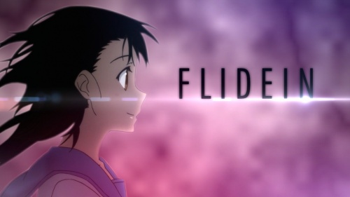 Flidein