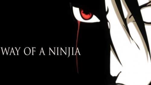 Way Of Ninja