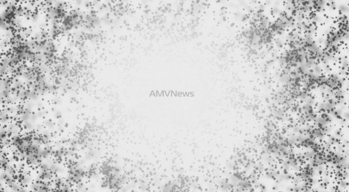 AMVnews.ru