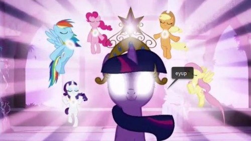 Night Of Pony