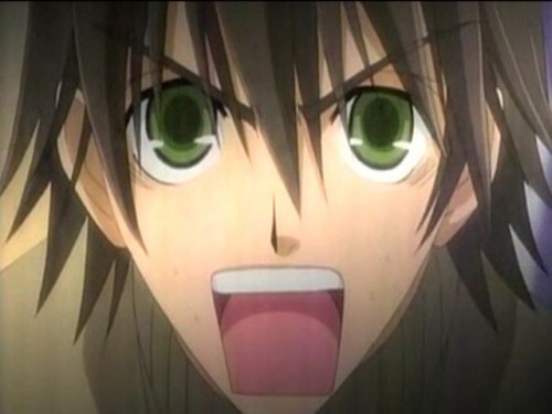 Junjou Romantica2