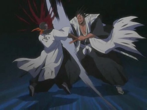 Bleach Fights